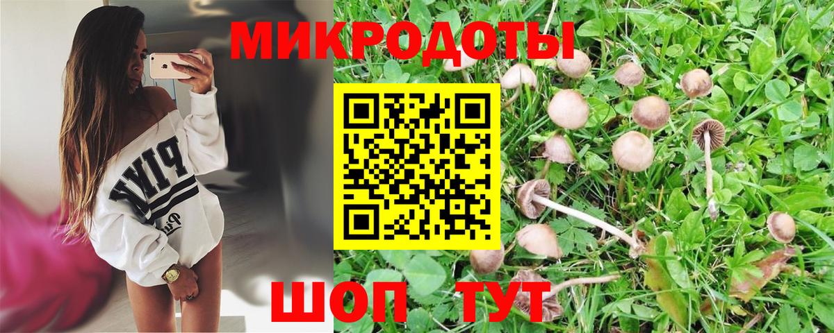 Королёв  Псилоцибиновые грибы прущие грибы  Вход с VPN 